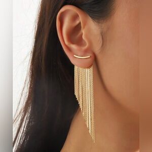 Tassel drop earrings N1061